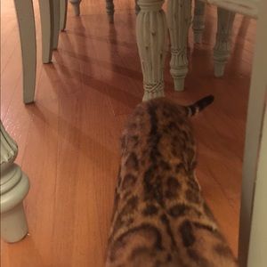 Meet your Posher, Lilly